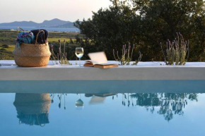 Luxury Paros Villa Villa Thoe Contemporary Luxury 3 Bedrooms Glisidia